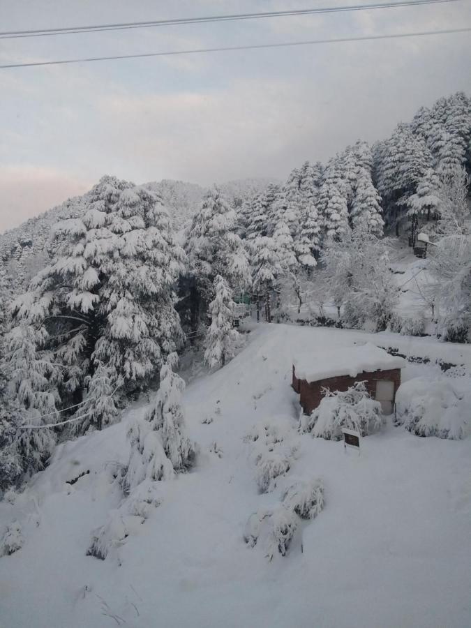 Hotel Green Orchid Udhampur Esterno foto