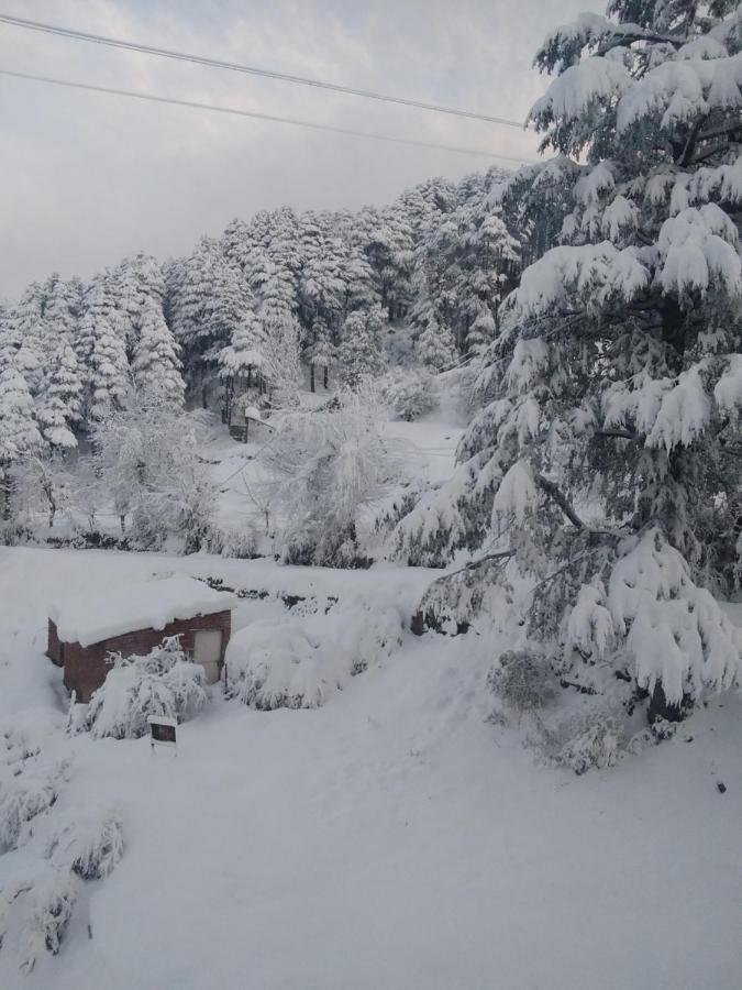 Hotel Green Orchid Udhampur Esterno foto