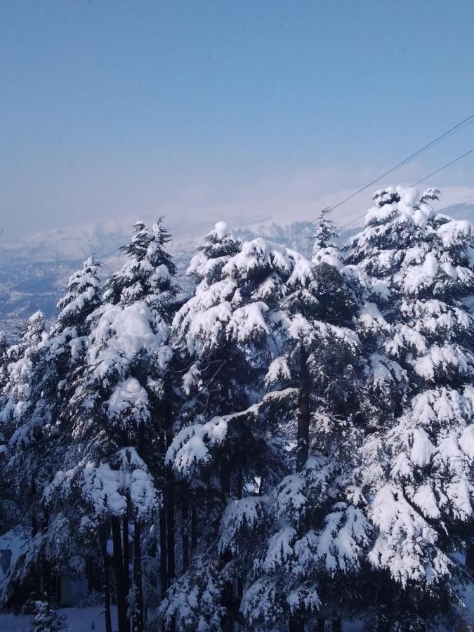 Hotel Green Orchid Udhampur Esterno foto