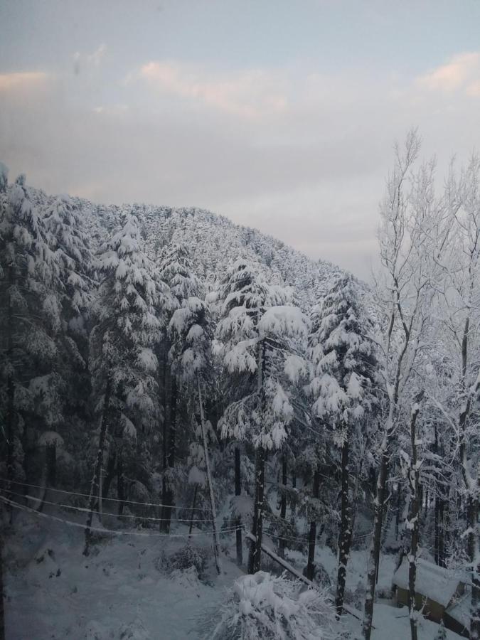Hotel Green Orchid Udhampur Esterno foto