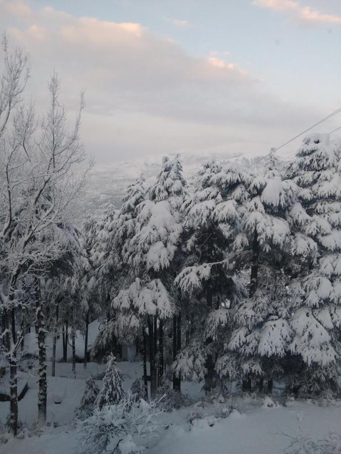 Hotel Green Orchid Udhampur Esterno foto